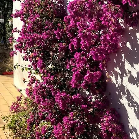 Vila Casa Mandala - An Oasis Of Calm